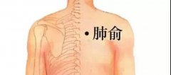 秋后的蘿卜賽人參！最推薦的吃法是它，這樣搭配效果更佳，可別吃